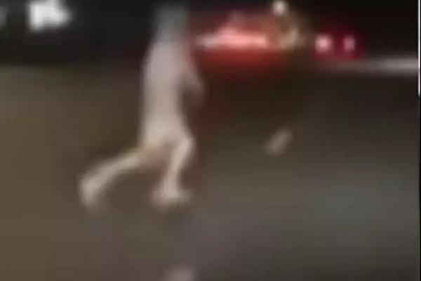 Người đi đường chụp được hình bóng trắng kỳ bí, phóng to ảnh mới bất ngờ-4