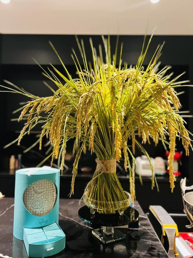 Bên trong siêu biệt thự của BTV tài chính sang chảnh bậc nhất VTV: Thiết kế nghệ như triển lãm, có bể bơi và phòng tập ballet dành riêng cho ái nữ-18