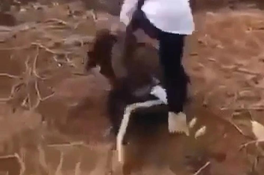 Vụ nữ sinh lớp 9 bị hành hung dã man: Xác định 5 nữ sinh tham gia đánh-1