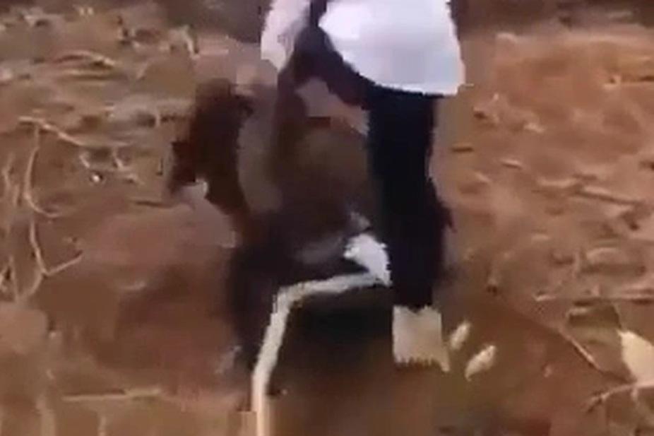 Bé trai 3 tuổi bị người đàn ông hàng xóm chém tử vong-1