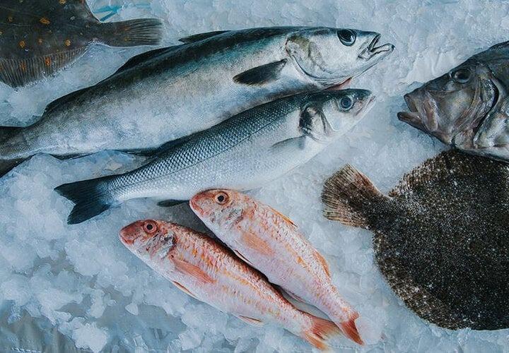 Bí quyết chọn cá biển tươi, không nhiễm hóa chất-2