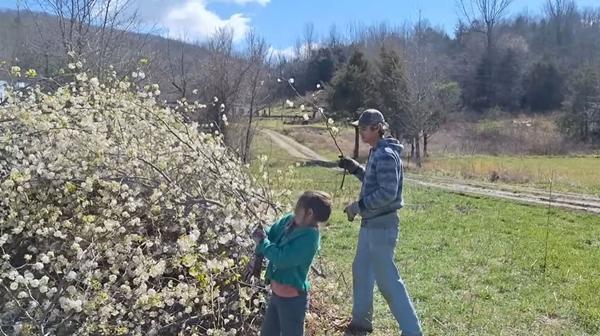 Theo chồng Mỹ về sống nơi hẻo lánh, vợ Việt tiết lộ cái giá phải trả khi tiếp quản nông trang ngút ngàn-5
