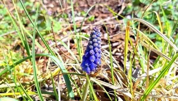 Theo chồng Mỹ về sống nơi hẻo lánh, vợ Việt tiết lộ cái giá phải trả khi tiếp quản nông trang ngút ngàn-8