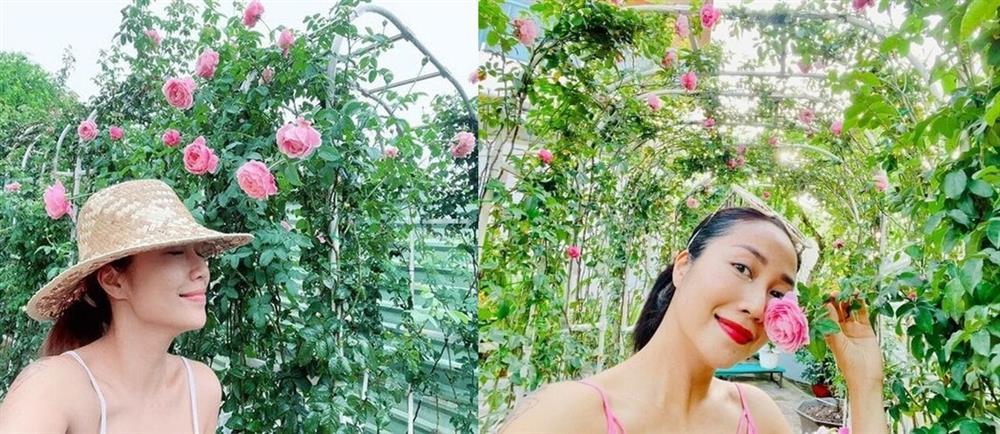 Trước khi sang Australia, Ốc Thanh Vân sở hữu tài sản khủng cỡ nào?-3