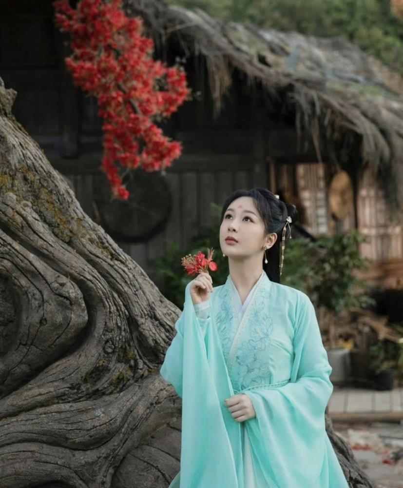 Dương Tử bất ngờ vướng nghi vấn trốn thuế, có nguy cơ tiêu tan sự nghiệp?-4