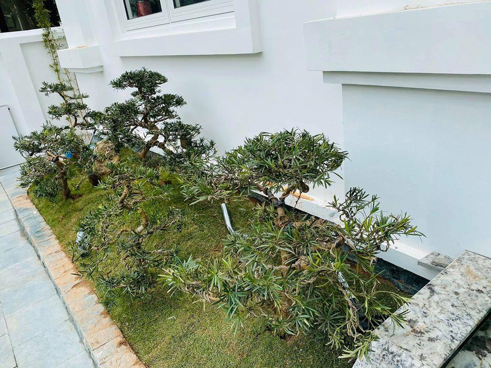 Chuẩn bị kết hôn lần 3 - Hằng Túi sở hữu những biệt thự khủng nào?-16