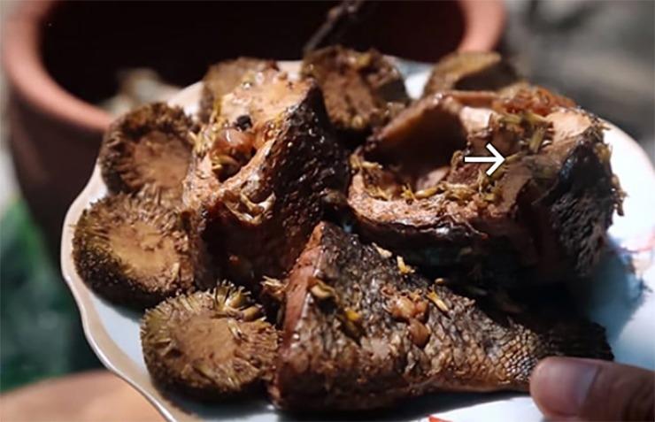 Loại quả dại ít người biết nay lên đời thành đặc sản, có tiền khó mua-3