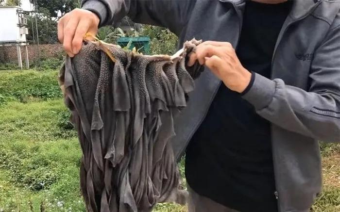 Ăn sách bò thường xuyên có tốt?-1