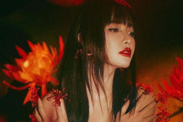 Một nữ ca sĩ Vbiz chia sẻ ảnh tổng kết năm, có gì hot mà khiến dân mạng chia sẻ rầm rộ vì quá đồng cảm?-3