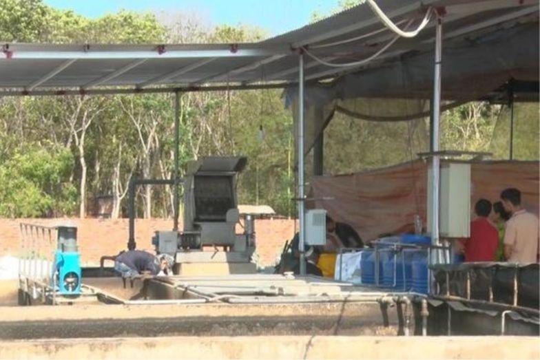 Phát hiện 3 người tử vong nghi bị ngạt khí hầm biogas-1