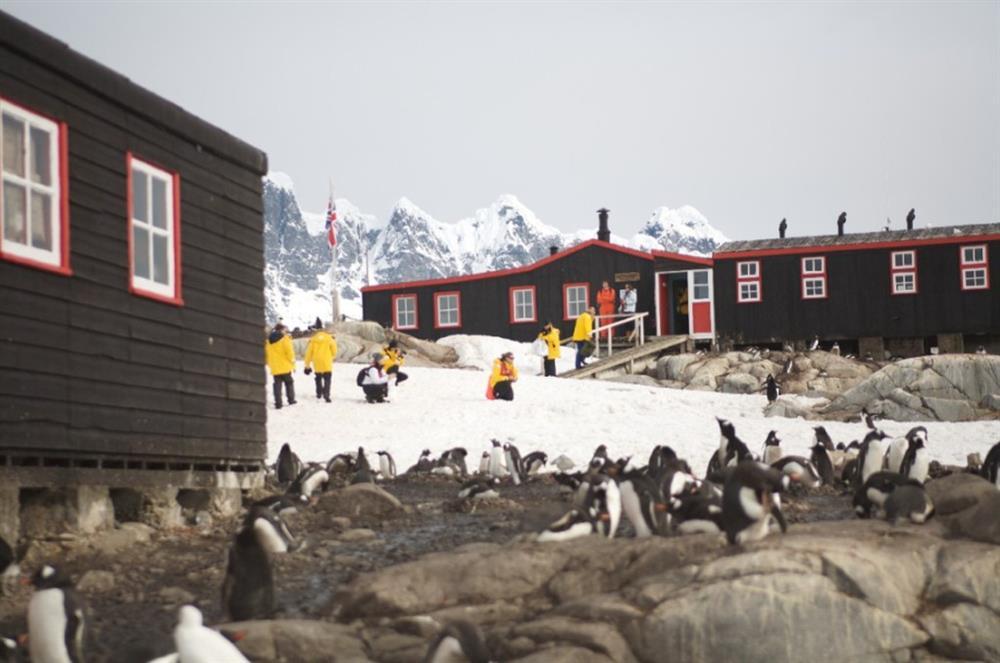 Công việc ngửi phân cả ngày, chỉ tắm 2 lần/tuần vẫn ngập người ứng tuyển-3