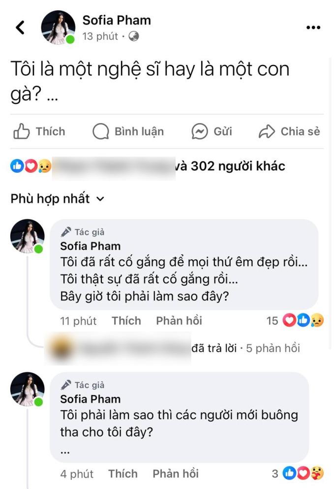 Ca sĩ Sofia chia sẻ về bài đăng đáng ngờ: Em bị ép vào đường cùng mới phải cầu cứu mọi người-1