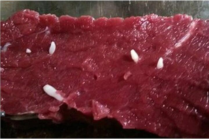 Cách phân biệt thịt bò sạch và thịt bò nhiễm sán-2
