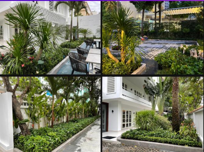 Diễn viên Chi Bảo chuẩn bị làm bố lần 3 ở tuổi 51, bà xã kém 16 tuổi lần đầu khoe bụng bầu to tròn vượt mặt!-6