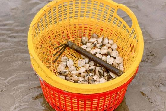 Thiếu niên đánh chết người khi đi bắt nghêu