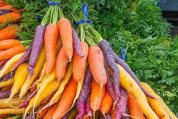 Lợi ích tuyệt vời của cà rốt với sức khỏe-1