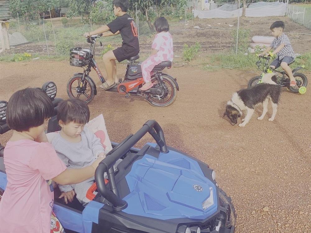 Hoa hậu đông con nhất Việt Nam rời showbiz sau biến cố, U40 sống an yên ở nông trại 10ha-10