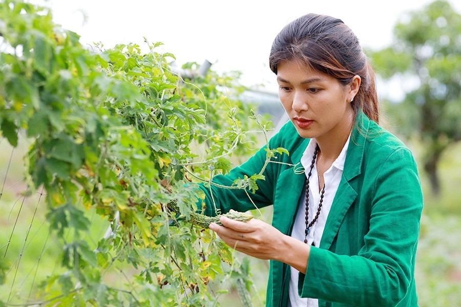 Hoa hậu đông con nhất Việt Nam rời showbiz sau biến cố, U40 sống an yên ở nông trại 10ha-5