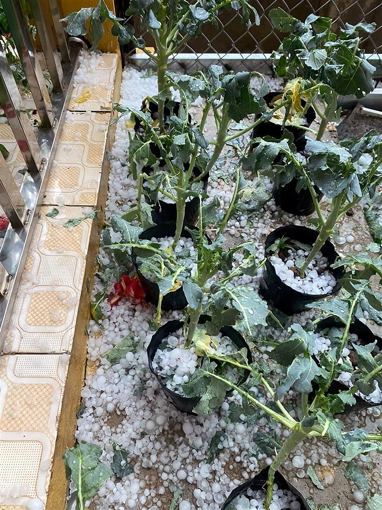 Vì sao mưa đá liên tiếp xảy ra nhiều nơi ở miền Bắc?-1