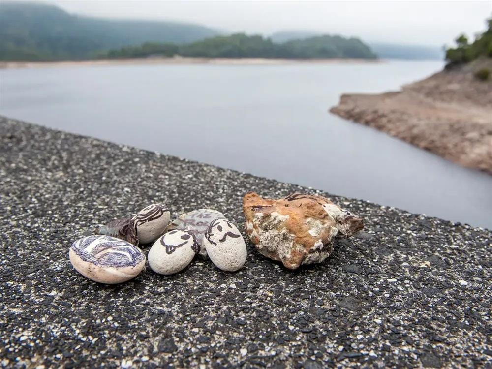 Giới trẻ Hàn Quốc nuôi đá thú cưng vì quá cô đơn, kiệt sức-2