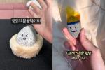 Giới trẻ Hàn Quốc nuôi 'đá thú cưng' vì quá cô đơn, kiệt sức