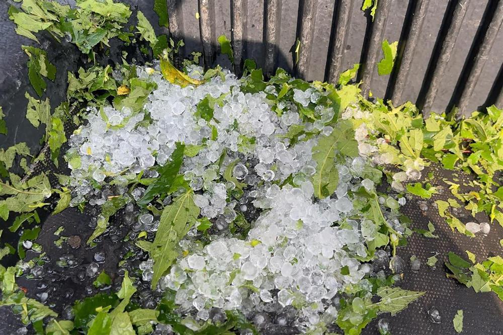 Mưa đá xuất hiện tại Quảng Ninh, cột điện đổ ra đường-2