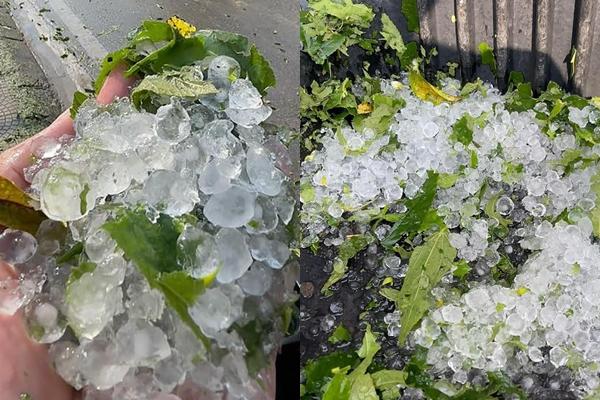 Mưa đá tại Lâm Đồng sau nhiều tháng khô hạn-3