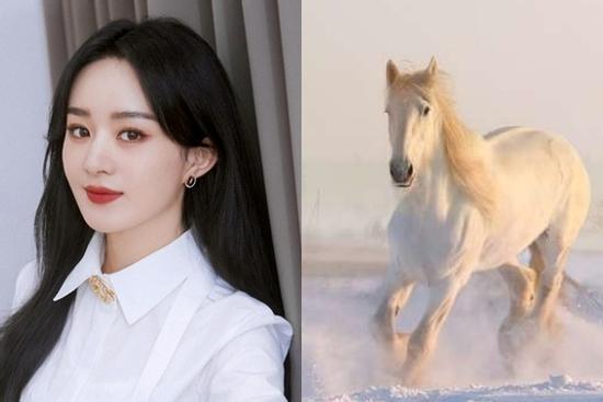 Trong 7 ngày tới 30/3-5/4, 3 con giáp vận may bùng nổ, đếm tiền mệt nghỉ