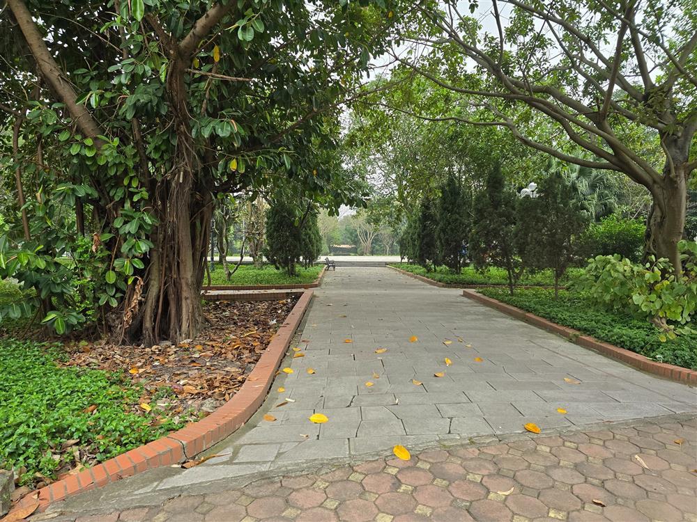 Cận cảnh khu vực nam sinh lớp 8 bị đánh chết não: Sân bóng rổ không có camera an ninh-2