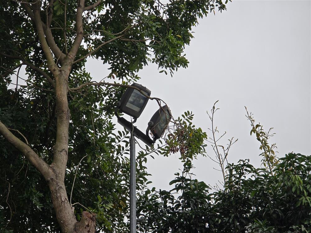 Cận cảnh khu vực nam sinh lớp 8 bị đánh chết não: Sân bóng rổ không có camera an ninh-7