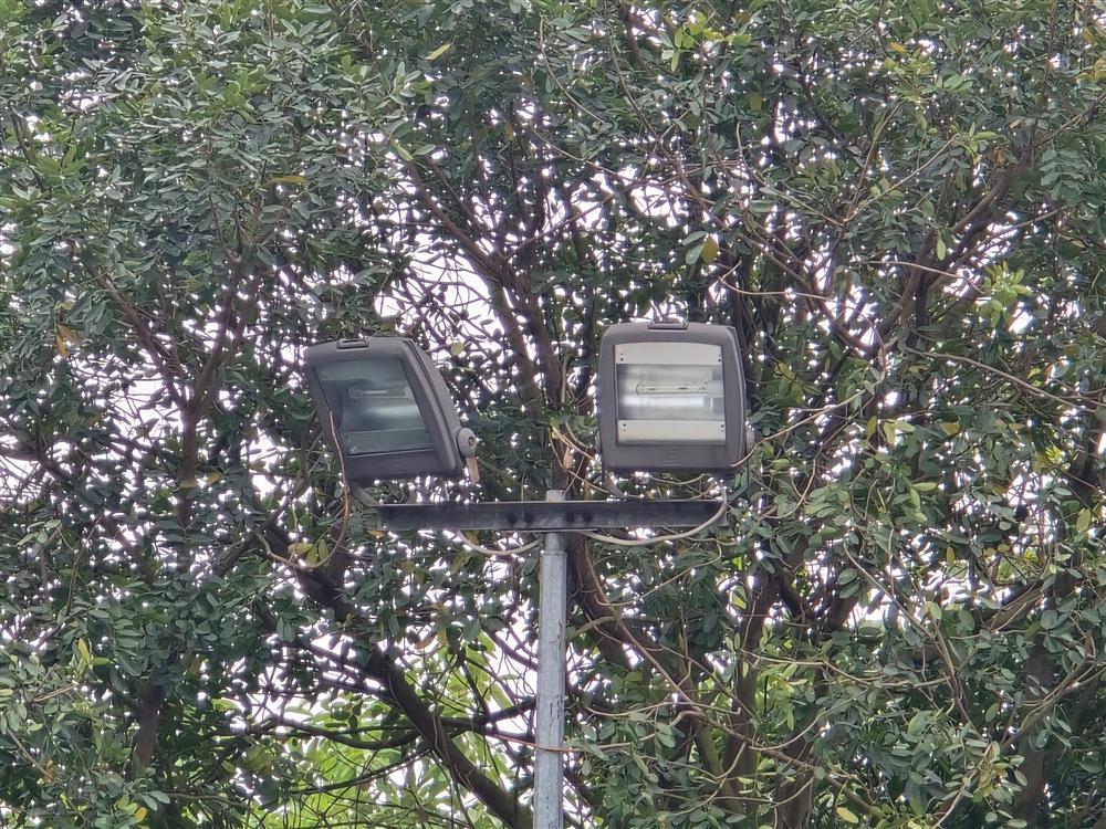 Cận cảnh khu vực nam sinh lớp 8 bị đánh chết não: Sân bóng rổ không có camera an ninh-8