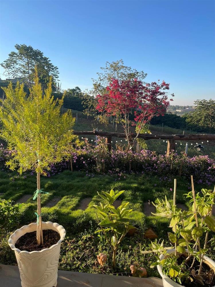 Nhà vườn 2.000m2 đẹp mê mải của Hoàng Lê Vi và chồng nhạc sĩ-8