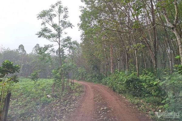 Căn nhà cấp 4 mẹ con nam sinh bị đánh chấn thương sọ não tá túc khi về Phú Thọ-1