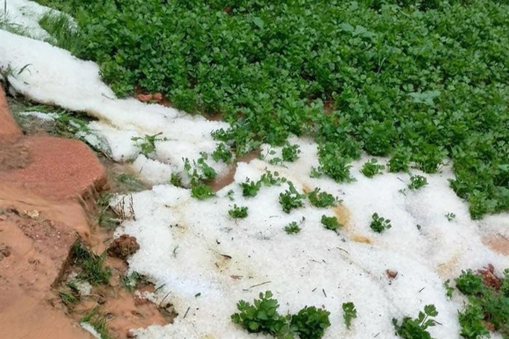 Mưa đá tại Lâm Đồng sau nhiều tháng khô hạn