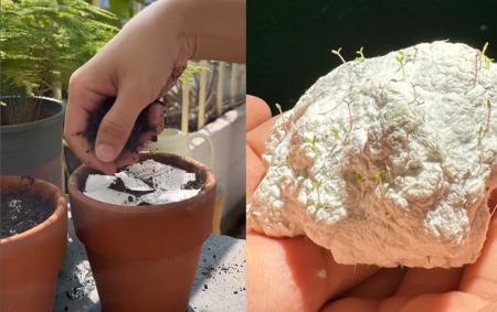 Minh Tú hiếm hoi hé lộ về mối quan hệ với gia đình chồng Tây, quyết định kết hôn vì điều này!-4