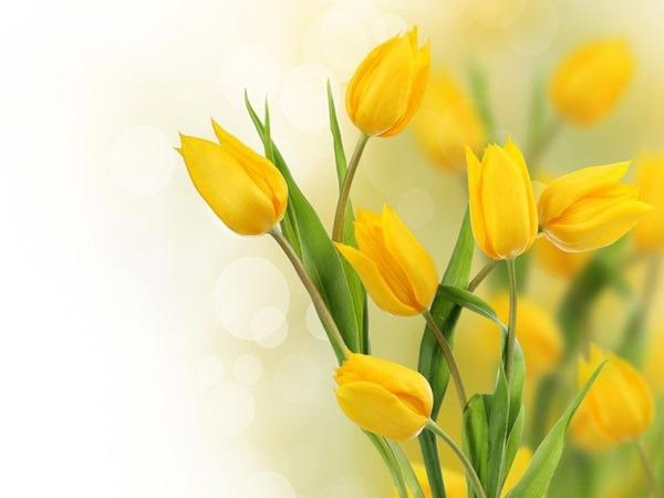 Đúng 18h hôm nay, 3 con giáp hứng trọn tinh hoa, chạm tay vào thành công, mọi điều như ý-2