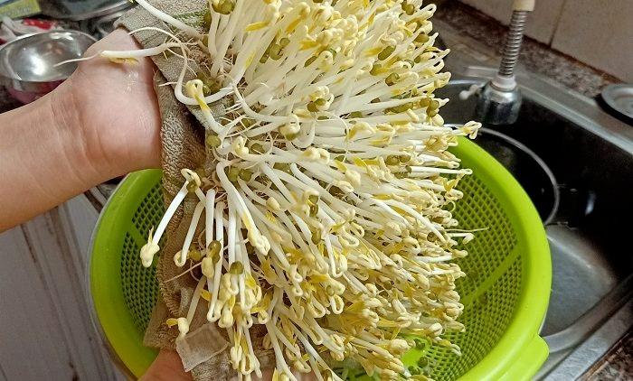 Cách làm giá đỗ siêu đơn giản, không cần tưới nước-3