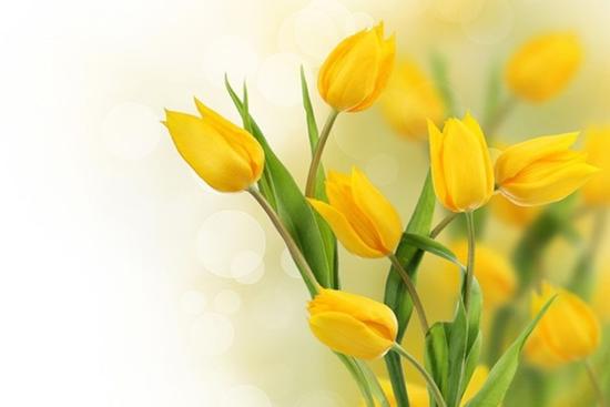 Thứ Năm 4/4/2024, 3 con giáp Thiên Quan kéo đến, kẻ xấu lập âm mưu hãm hại, tiền mất tật mang