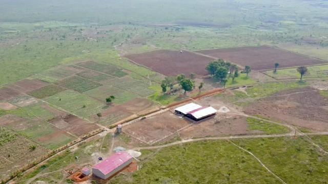 Trước khi mất kênh YouTube, Quang Linh Vlogs đầu tư 4 tỷ trang trại 14 ha, làm phó chủ tịch, sánh bước bên Thuỳ Tiên-5