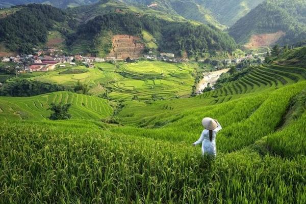Top những địa điểm du lịch Việt Nam nổi tiếng nhất-2