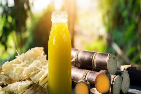 Đừng ăn những loại trái cây này khi đói nếu không muốn rước họa vào thân-3