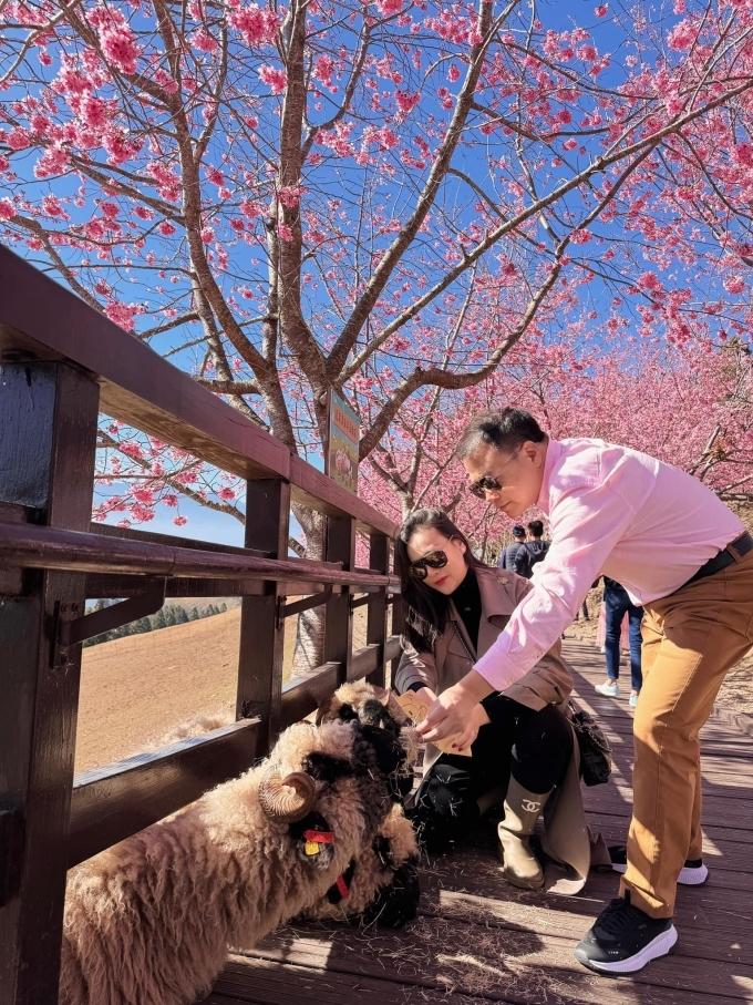 Có cuộc sống như bà hoàng sau khi kết hôn với Shark Bình, Phương Oanh vẫn khẳng định một điều?-3