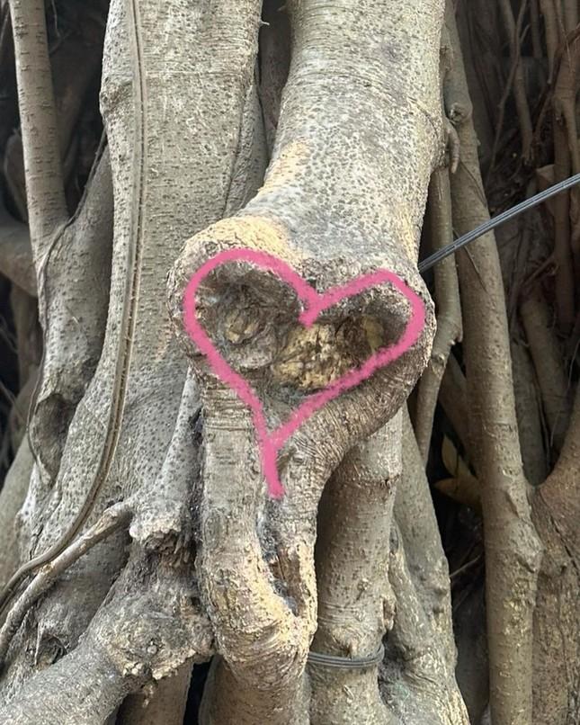 Ngôi sao Hàn Quốc khoe ảnh ở Sa Pa sau khi ăn phở, uống bia vỉa hè Hà Nội-6