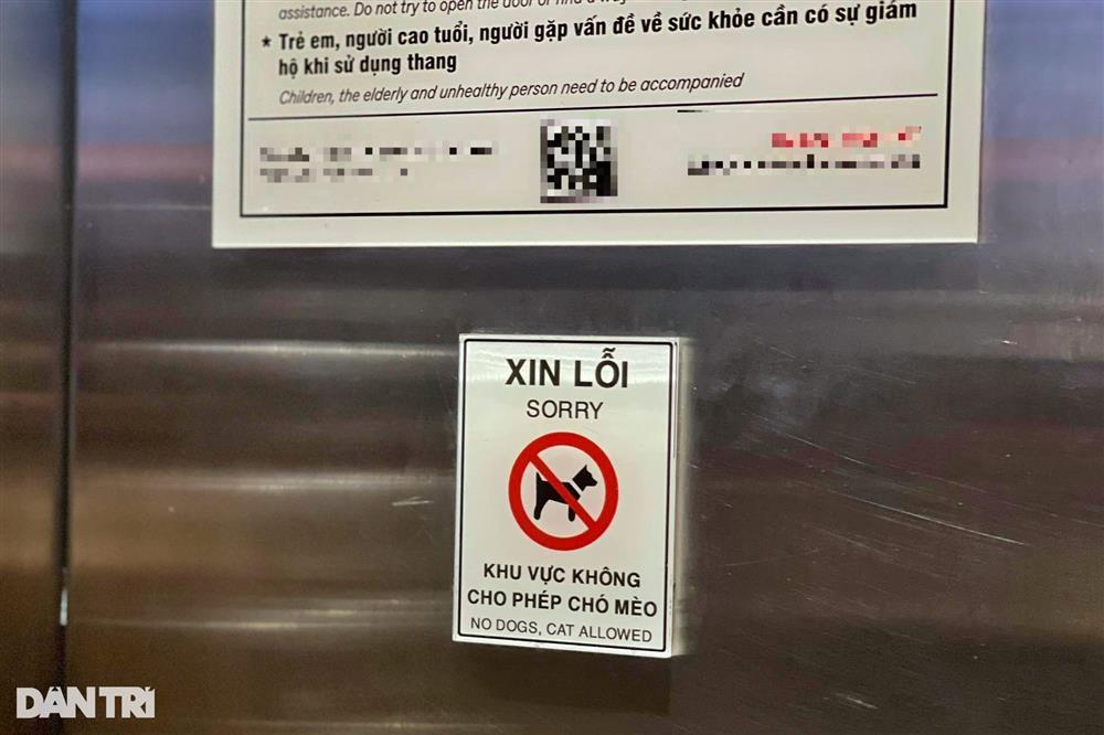 Từ vụ bị đuổi vì nuôi 19 chú chó đến đại chiến nuôi chó mèo ở chung cư-5