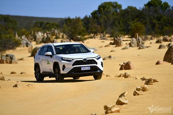 Sa mạc phủ kín nghìn cột đá hình thù kỳ lạ, cảnh ngoạn mục chưa từng có-2