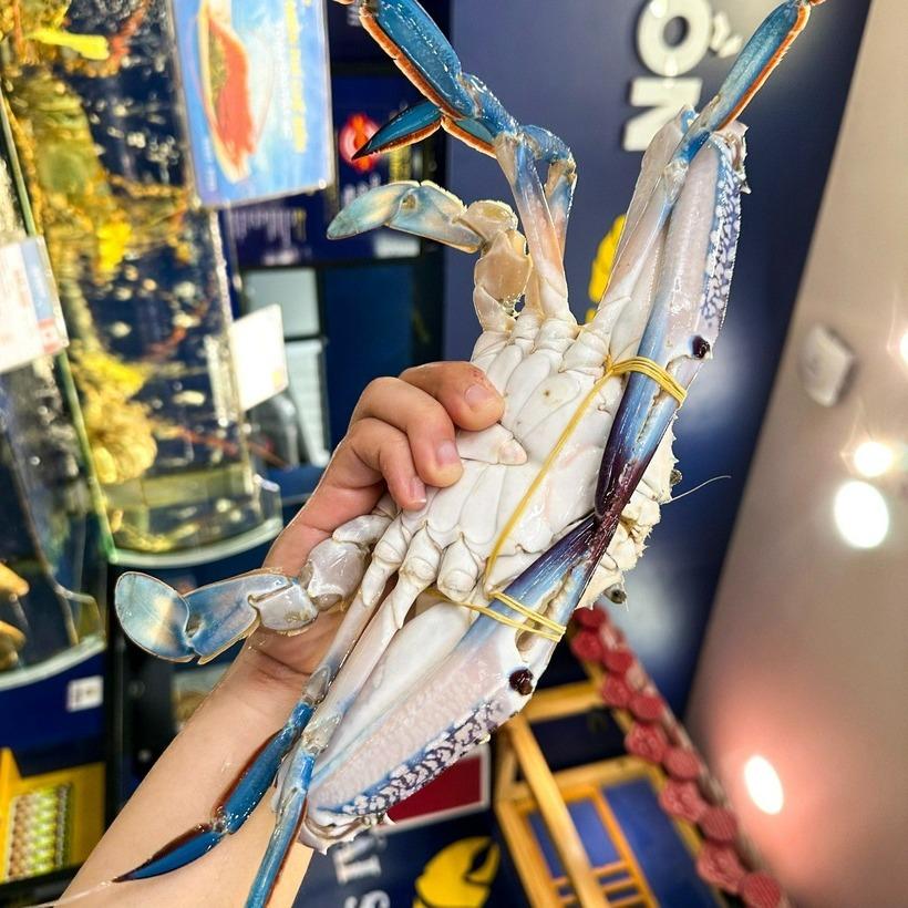 Chọn được ghẹ nhiều gạch, béo múp chỉ cần nhìn vào 5 điểm này-2