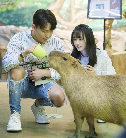 Trịnh Sảng khốn đốn vì phá sản hậu phong sát: Không có tiền trả nợ, hàng loạt công ty riêng đóng cửa-3