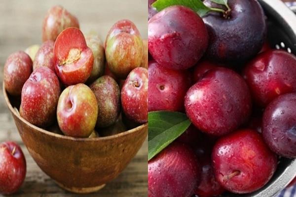 Mận chín rộ cực ngon nhưng ăn bao nhiêu quả mỗi ngày thì tốt?-2