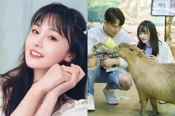 Sau ồn ào mất khả năng trả nợ, Trịnh Sảng lộ diện với vẻ ngoài khác lạ-6