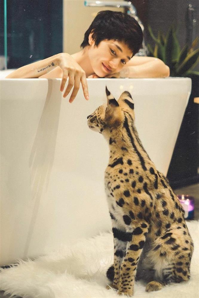 2 nữ ca sĩ đình đám showbiz Việt sở hữu những chú mèo quý có giá khủng là ai?-1